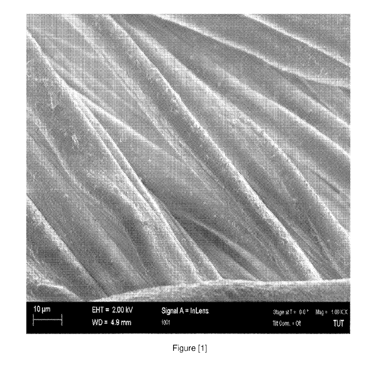 Process for producing fibrous material with antimicrobial properties