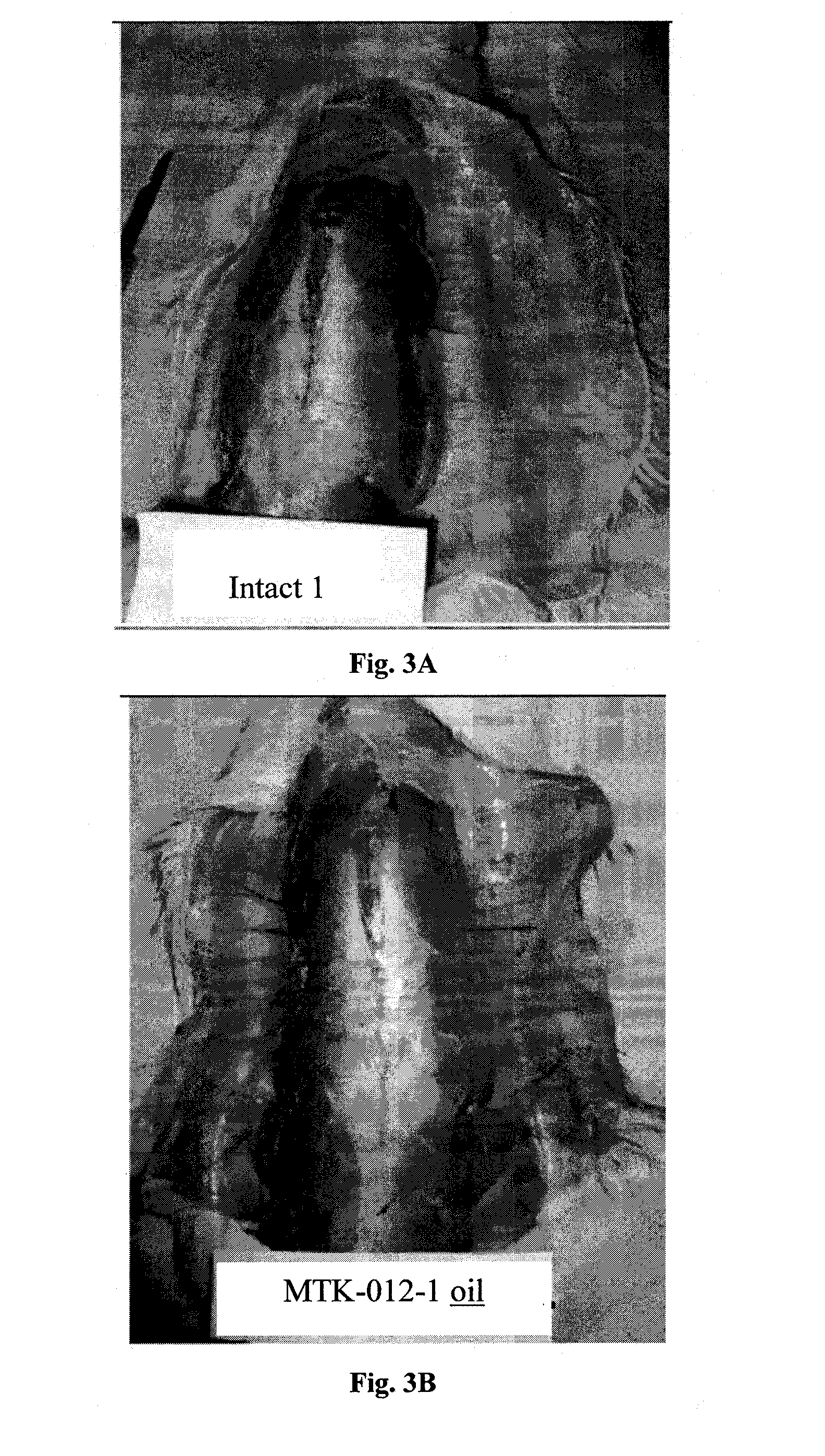 Tricyclic compounds, compositions comprising them and uses thereof