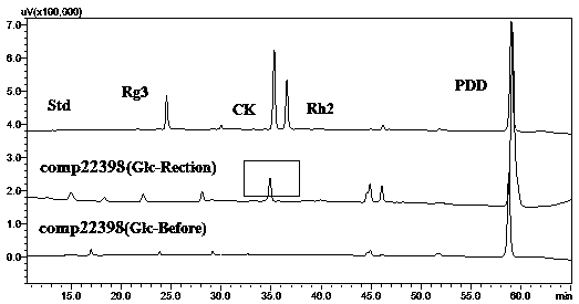 Application of Gynostemma Gynostemma Glycosyltransferase in the Synthesis of Rare Ginsenosides