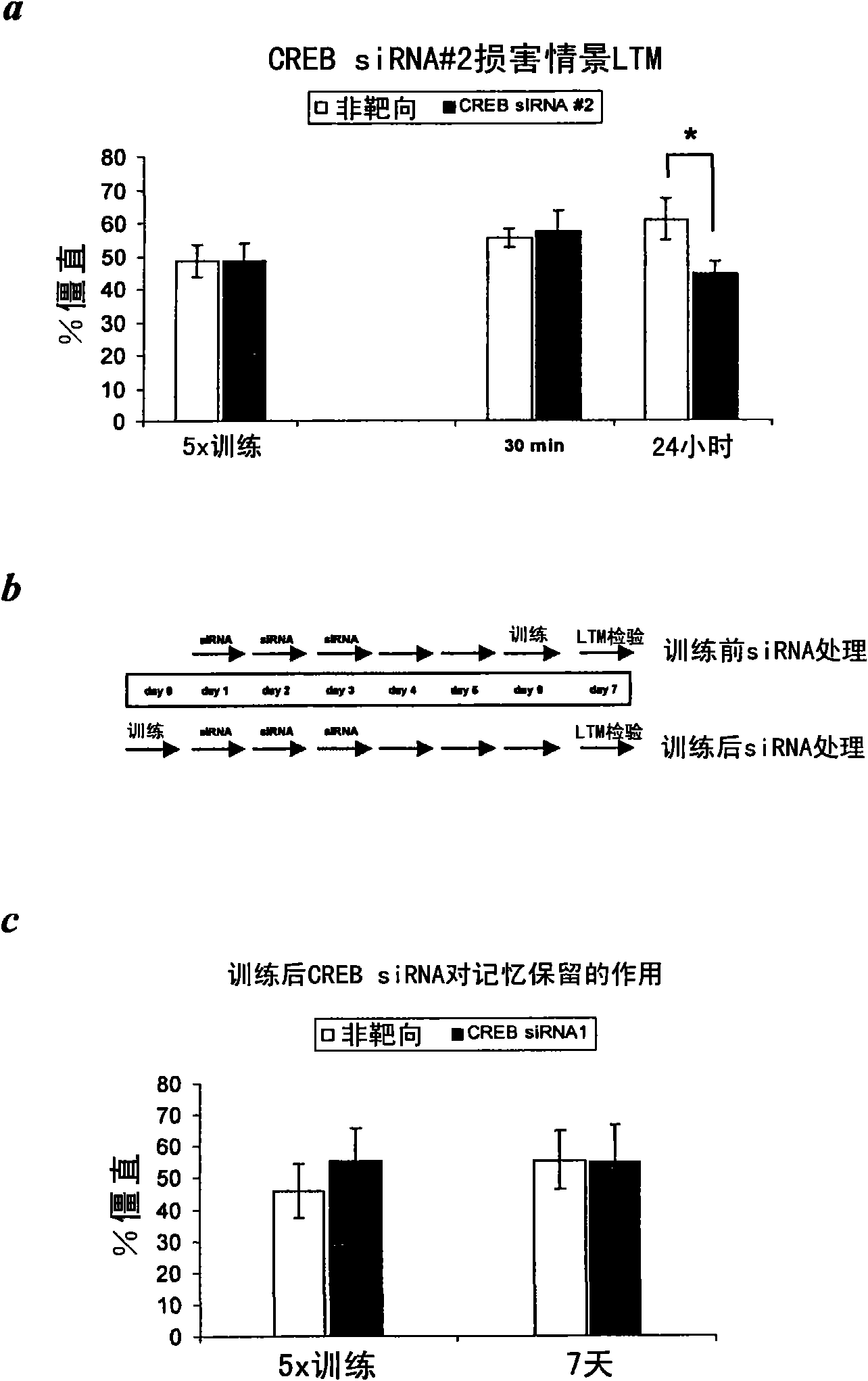 Methods of identifying genes involved in memory formation using small interfering rna (siRNA)