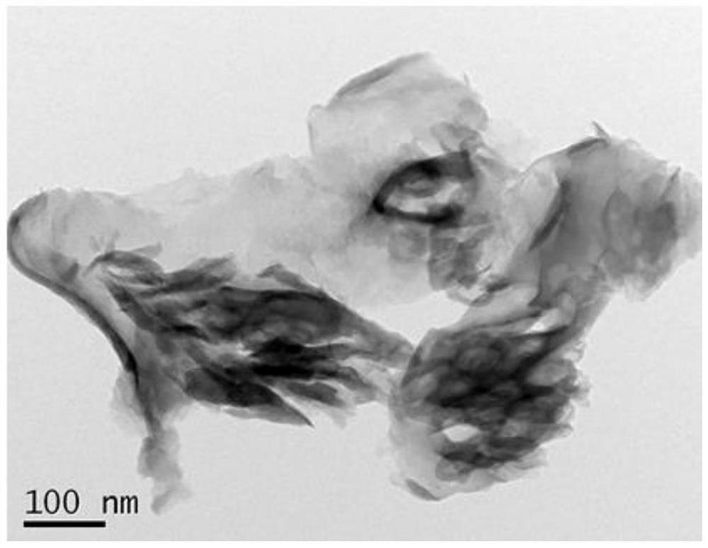 A kind of preparation method of ion-filled graphite phase carbon nitride nanosheet