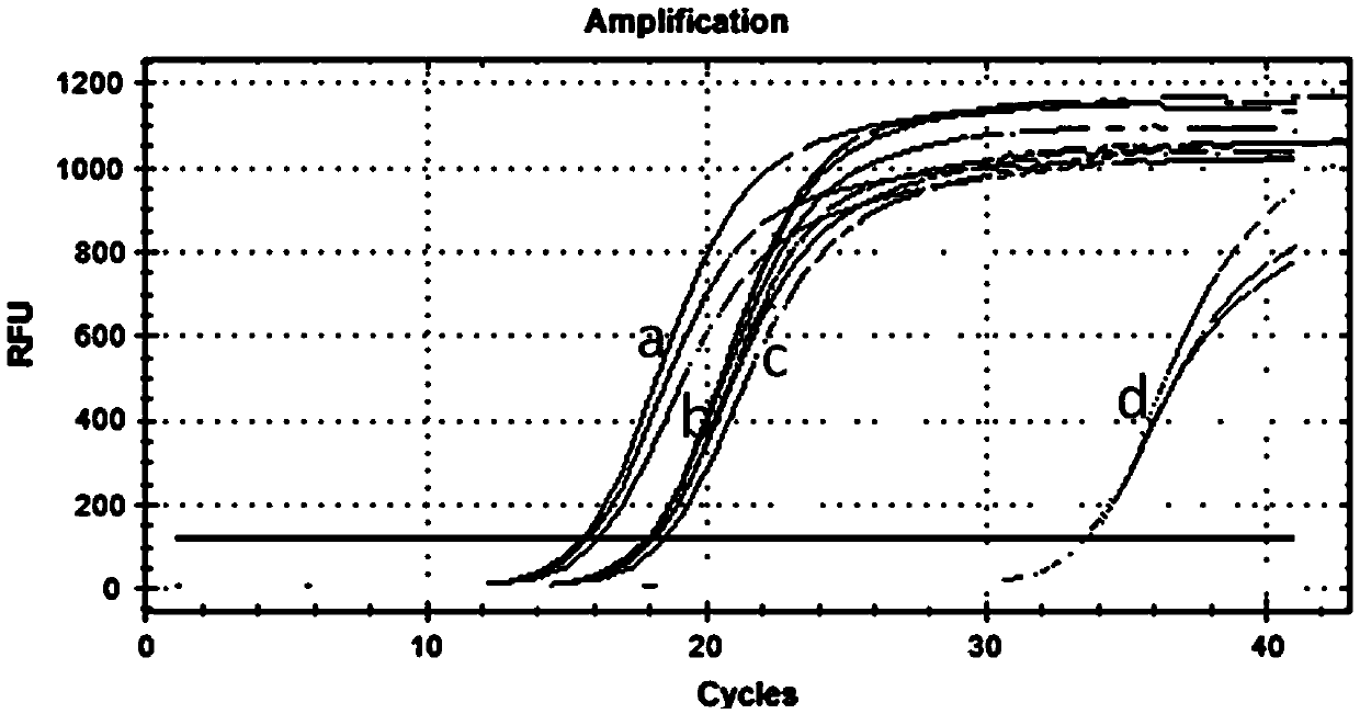 Quantitative detection method for specifically detecting mature microRNA expression level and kit