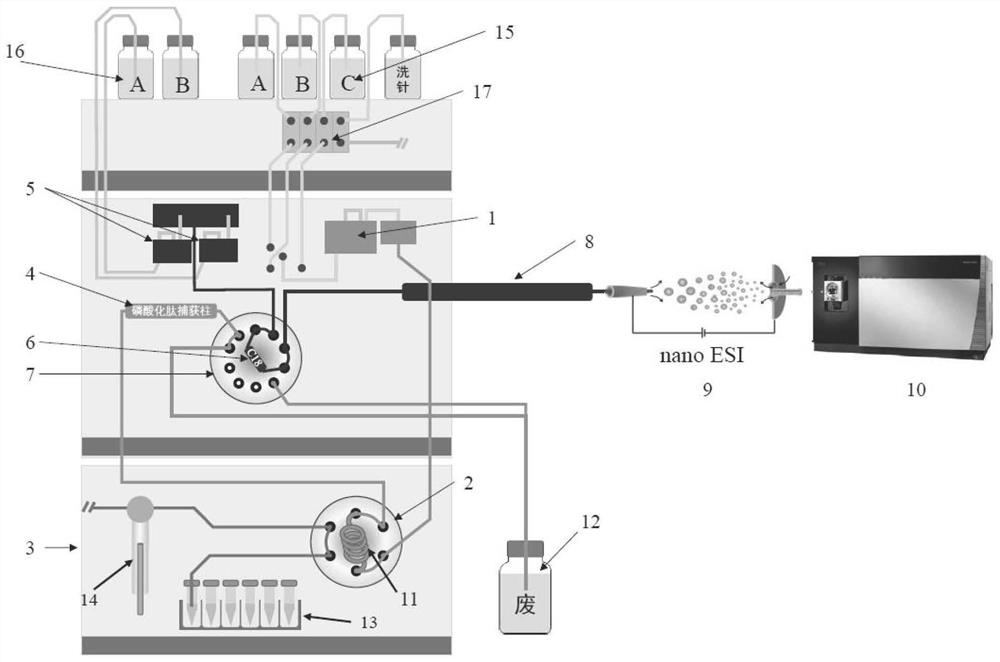 Online automatic analysis device and analysis method for phosphorylated proteomics