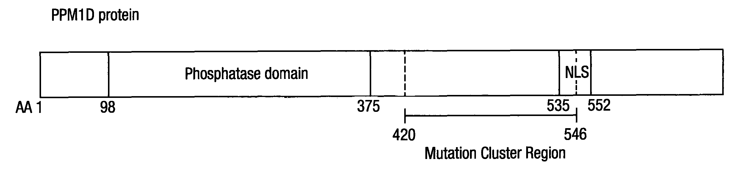 Materials and methods for determining susceptibility or predisposition to cancer