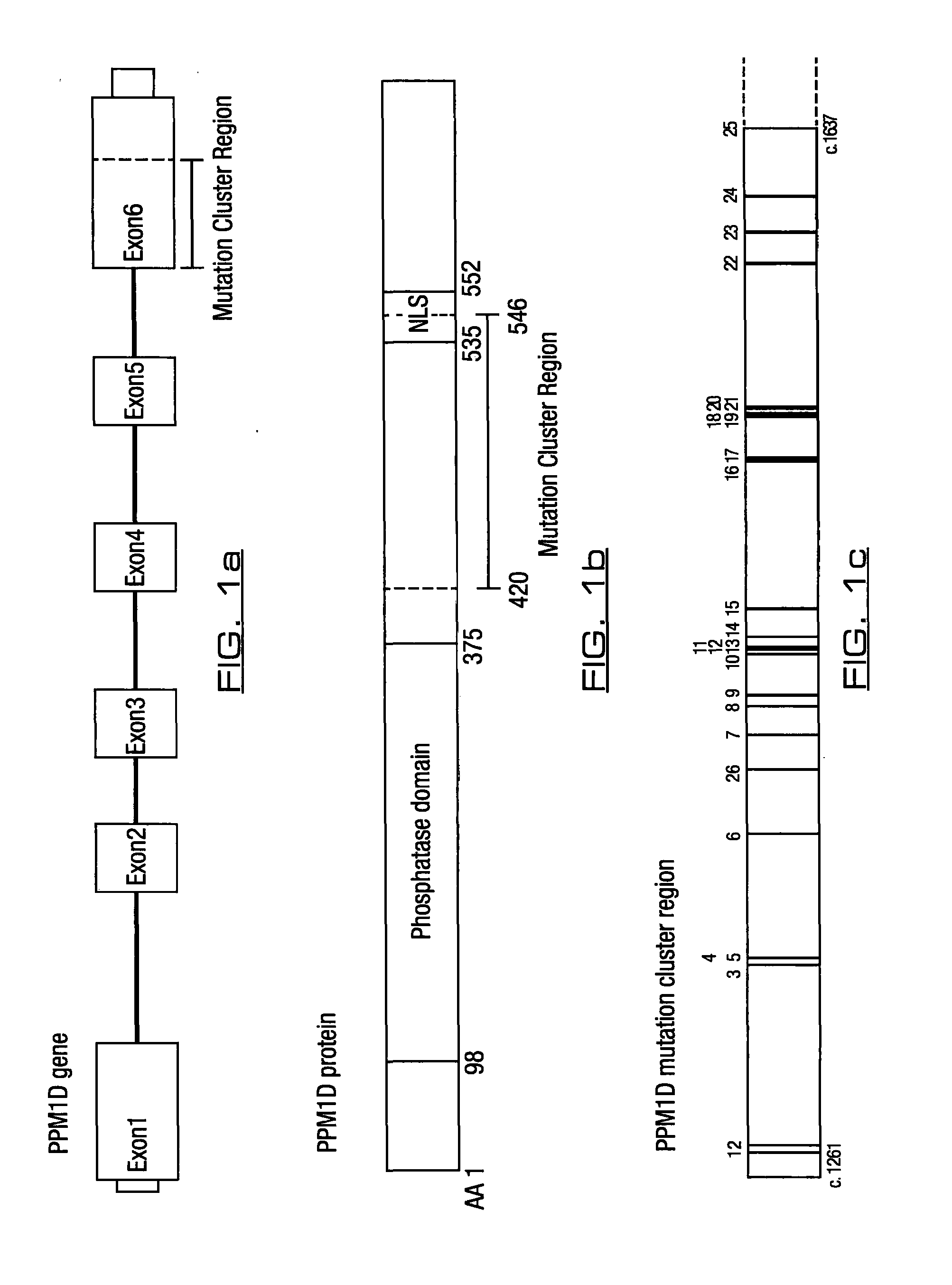 Materials and methods for determining susceptibility or predisposition to cancer