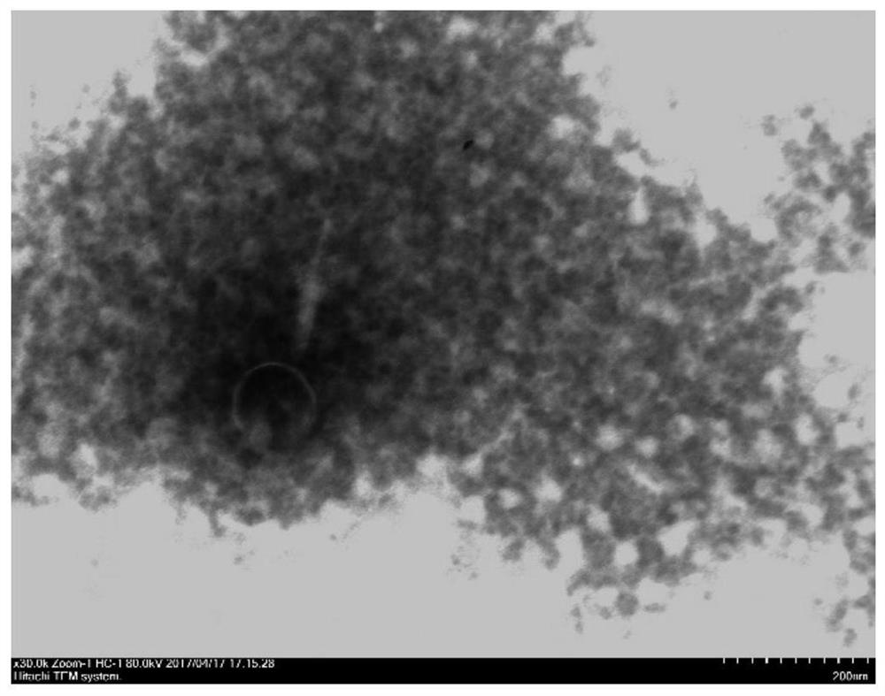 Staphylococcus phage composition and its application in drugs for preventing and treating staphylococcus infection