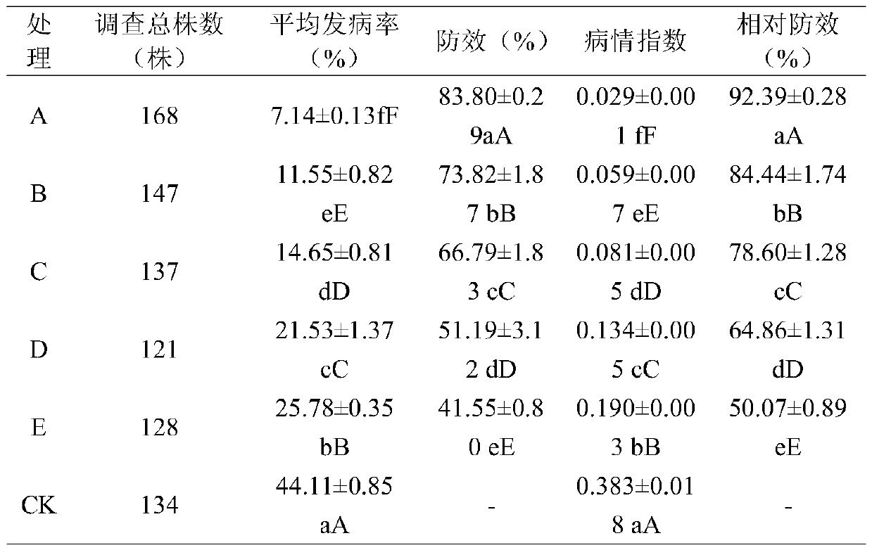 Biopesticide composition for tobacco bacterial leaf blight