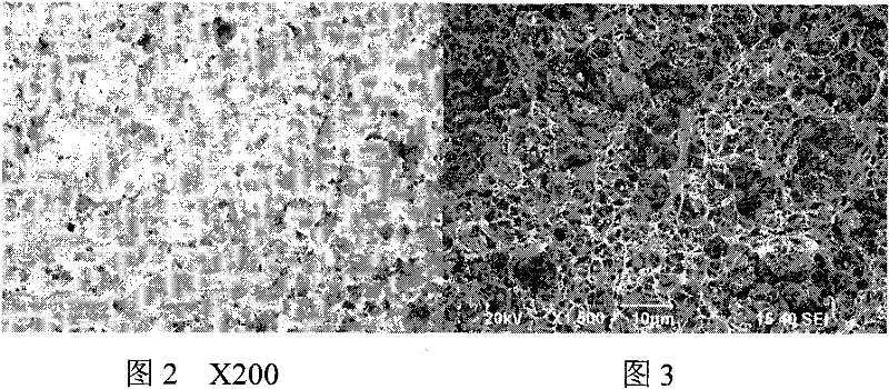 Silver-nickel-based electrical contact material and preparation method thereof