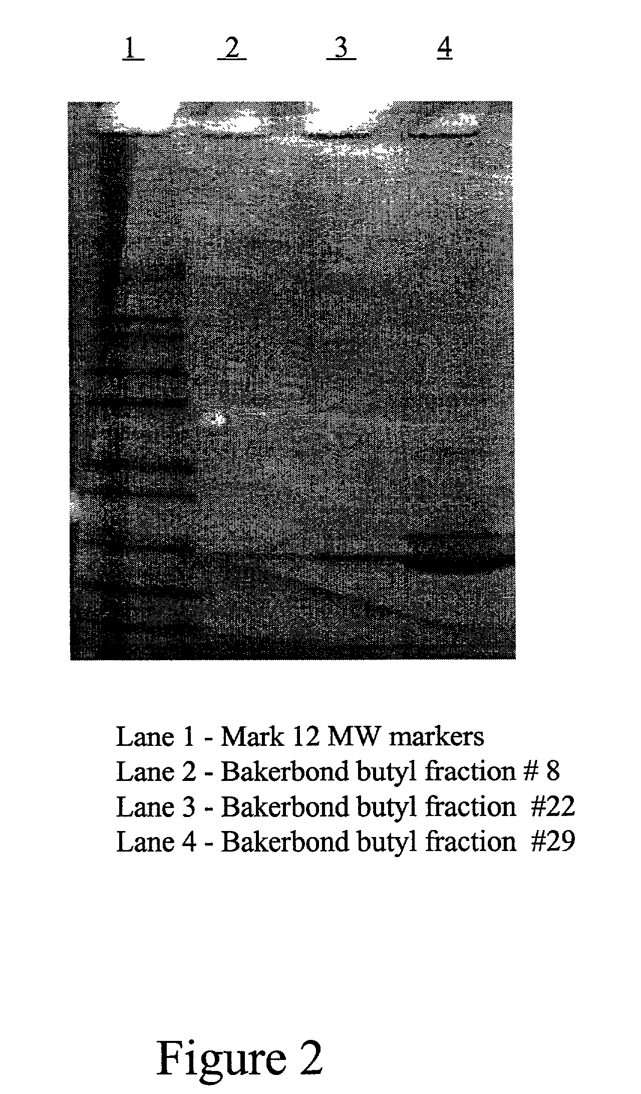 Method for purification of molecules using unbranched terminal alkyldiols
