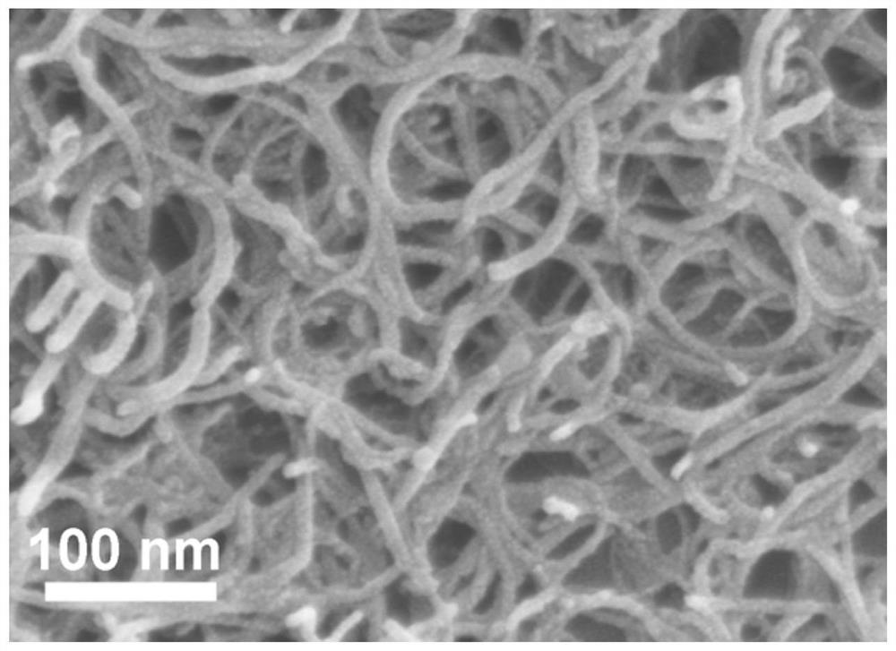Carbon nanotube and covalent organic framework compounded OER catalyst