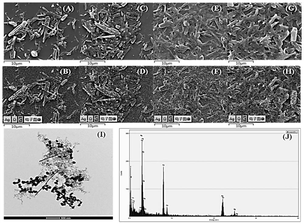 Polyrutin-silver nanoparticle-glassy carbon electrode and preparation method thereof