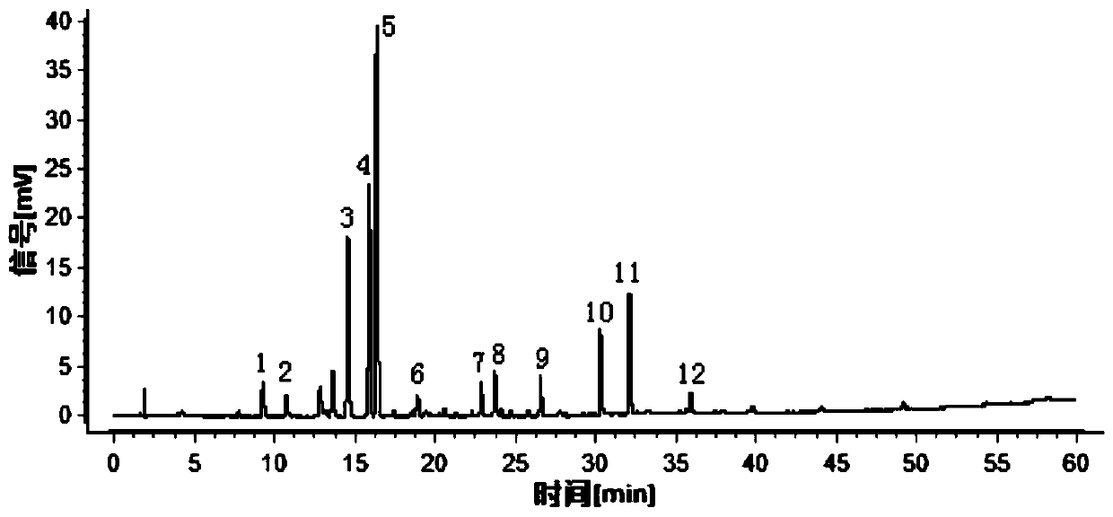 UPLC specific chromatogram establishing method and detection method of radix semiaquilegiae medicinal material