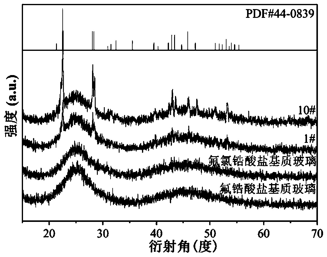 Rare earth-doped halide glass ceramics and preparation method thereof