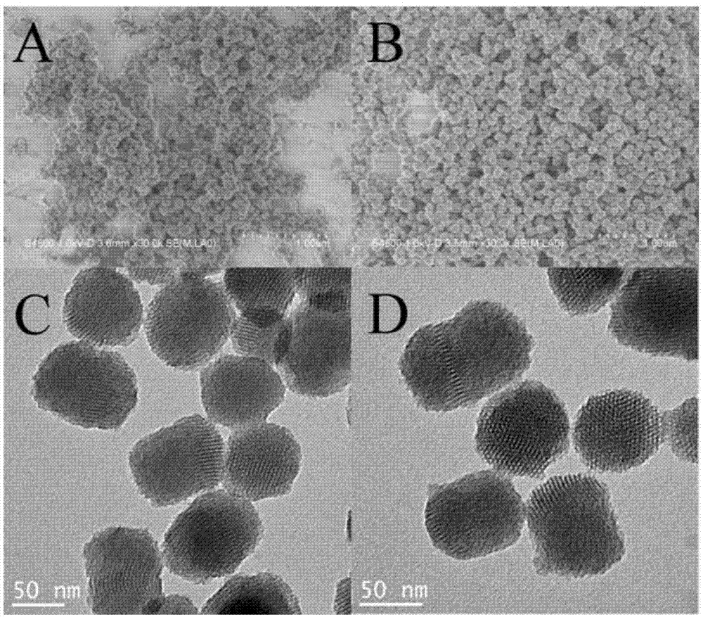 Pmo fluorescent nanoparticles for mercury ion ratio detection and preparation method thereof