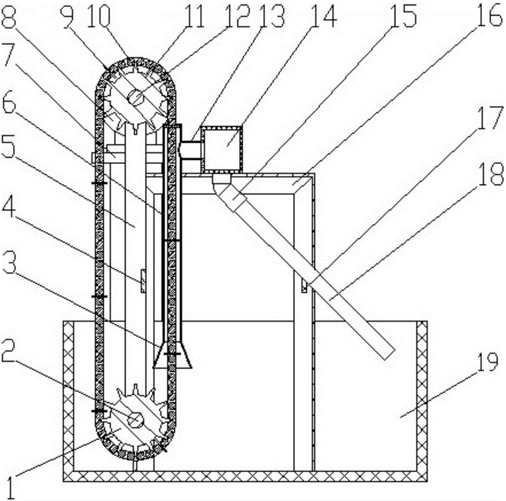 Positive displacement conveying tube type photobioreactor