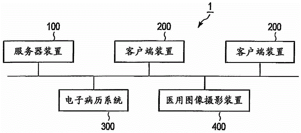 Medical information system and medical information display device
