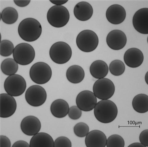 HIC (hydrophobic interaction chromatography) packing material for separating total GLS (gangliosides) and preparation method of HIC packing material