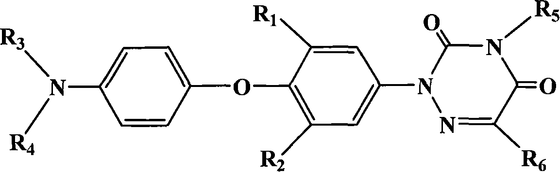 Compound in triazine class for anti activity of coccidian, preparation method and application