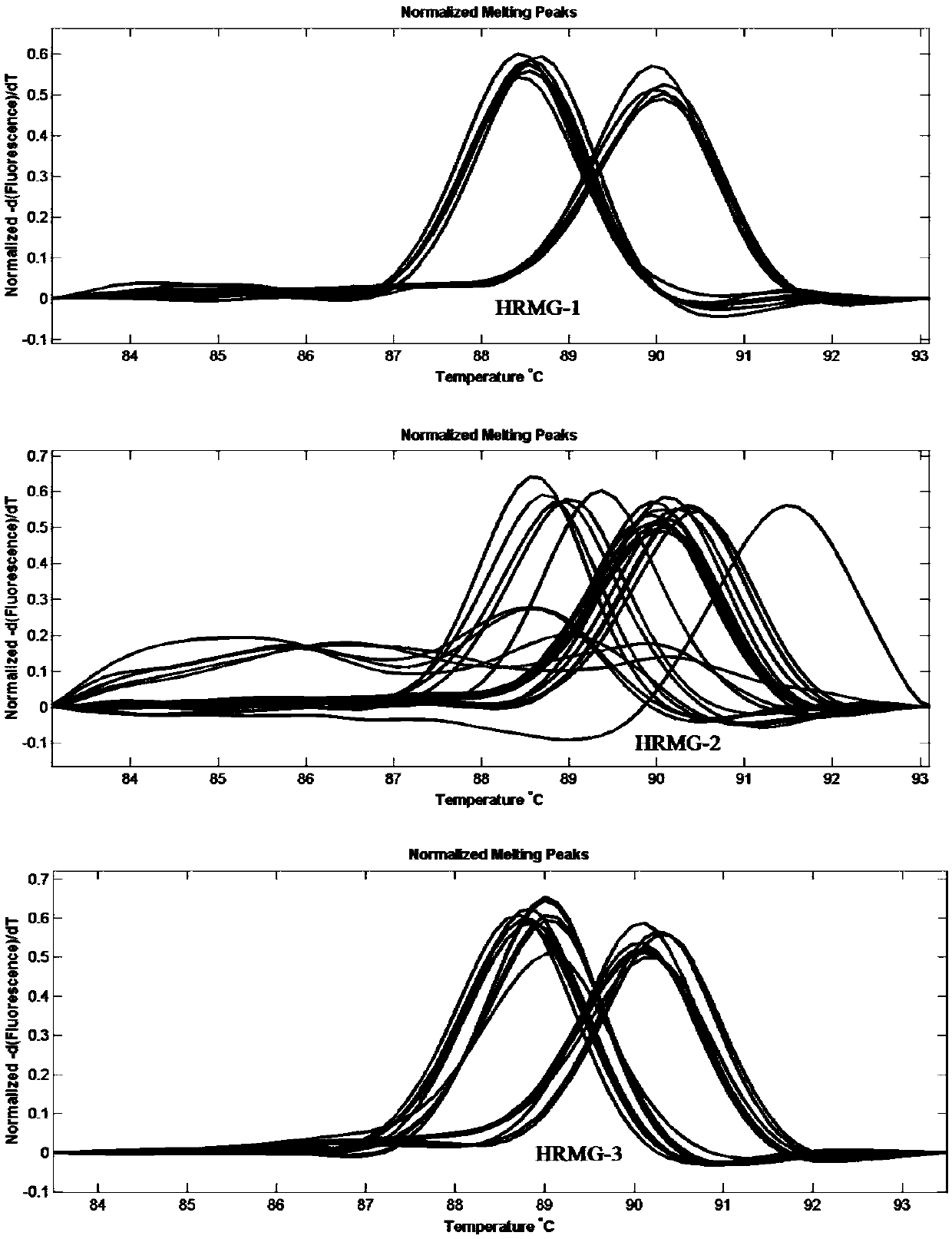 Molecular marker for authenticating zizania latifolia turcz. phenotype characteristics, and application and acquisition method thereof