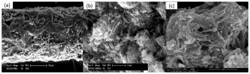 Titanate nanotube SPME coating and preparation method and application thereof