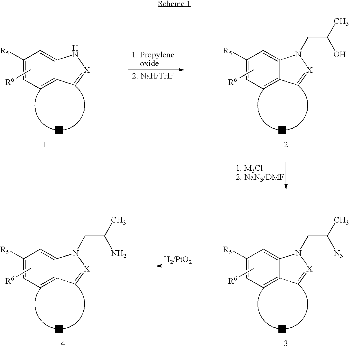 Novel fused indazoles and indoles and their use for the treatment of glaucoma