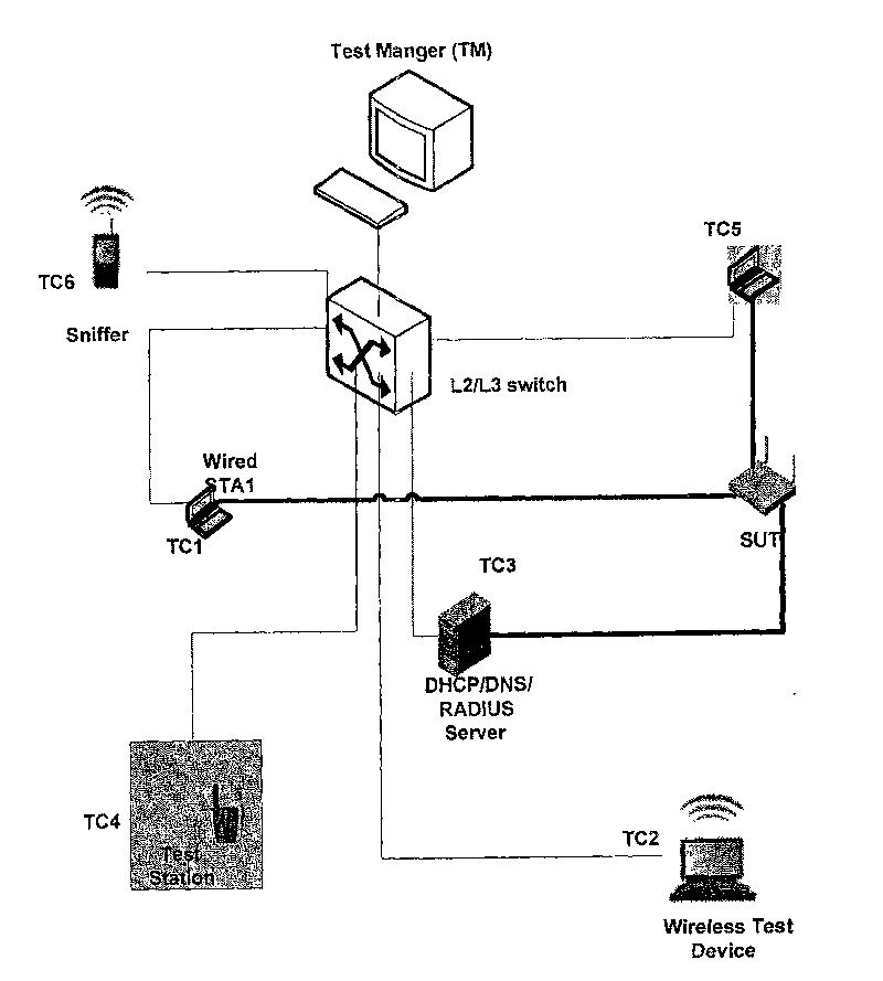 Centralizing automatic testing device and method for testing radio local network