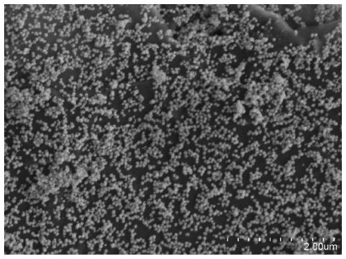 an alpha fe  <sub>2</sub> o  <sub>3</sub> Preparation method of nanoparticle/multilayer graphene composite material