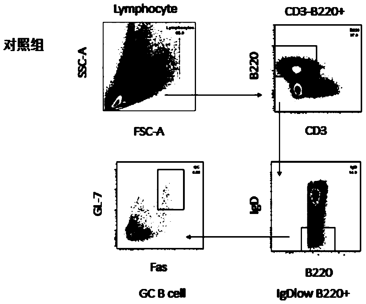 CD127 resisting antibody, cell strain for secreting antibody and preparation method and application of antibody