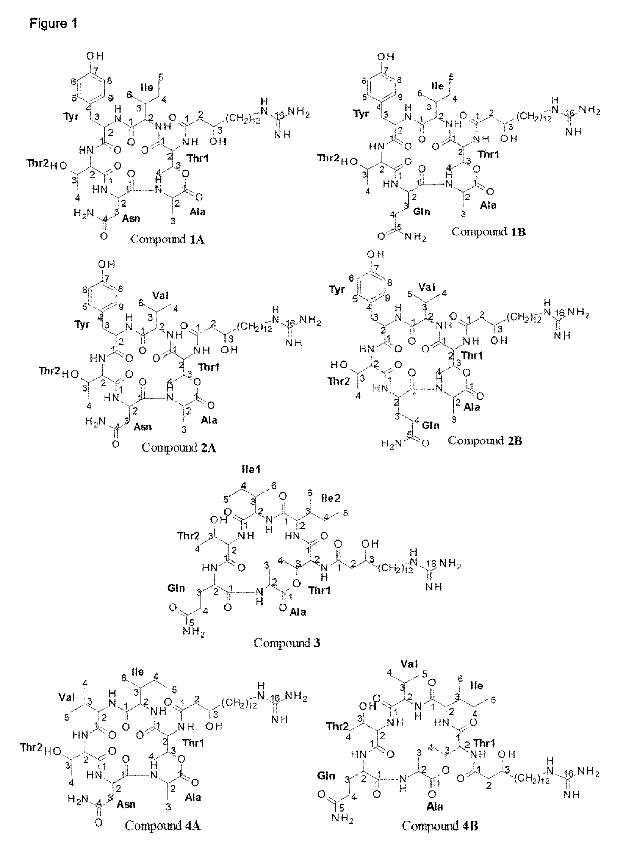 Mixtures and Compositions Comprising Paenibacillus Strains or Metabolites Thereof and Other Biopesticides