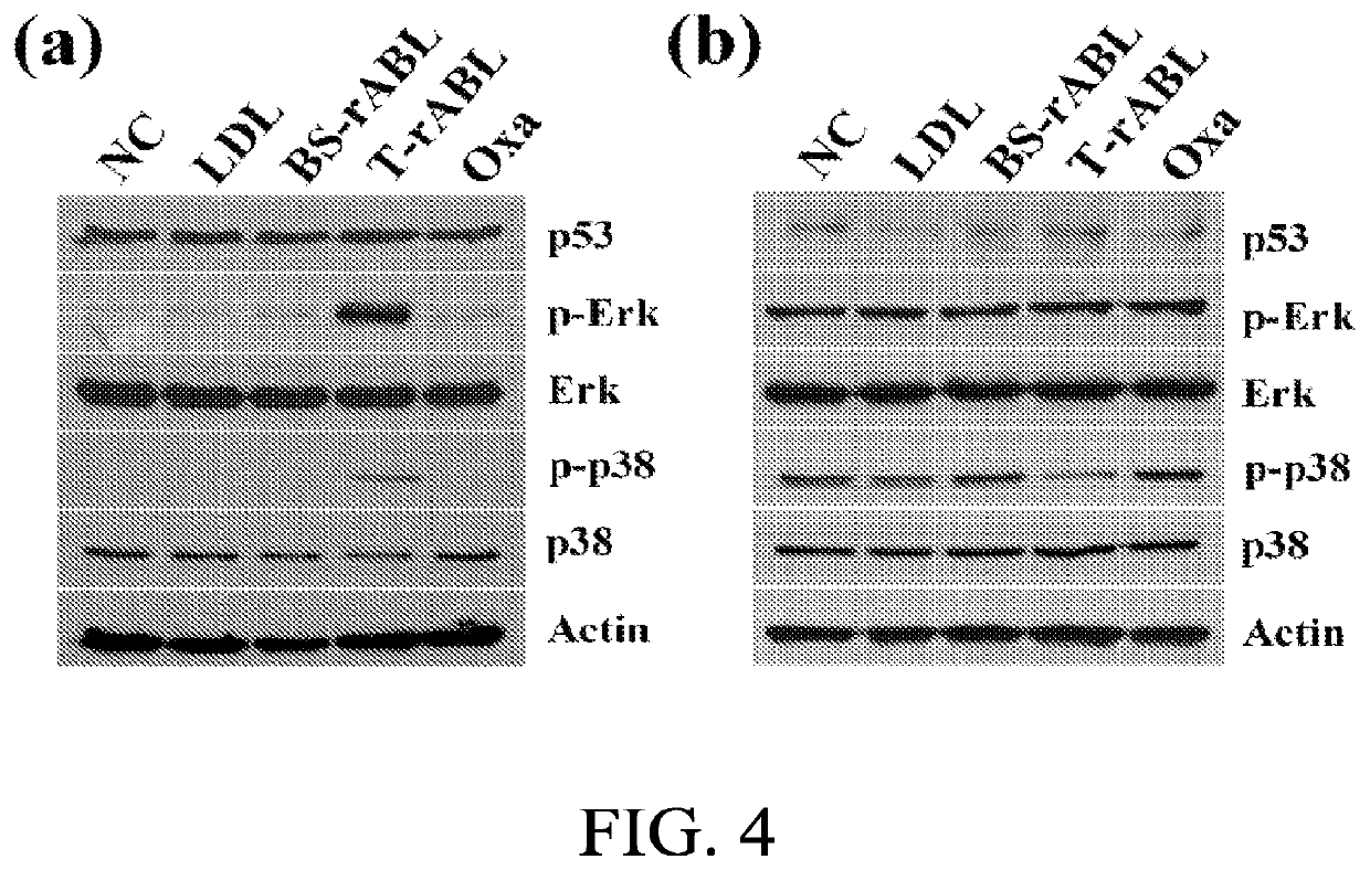 Reconstituted apolipoprotein B lipoparticle, a preparation method and uses thereof