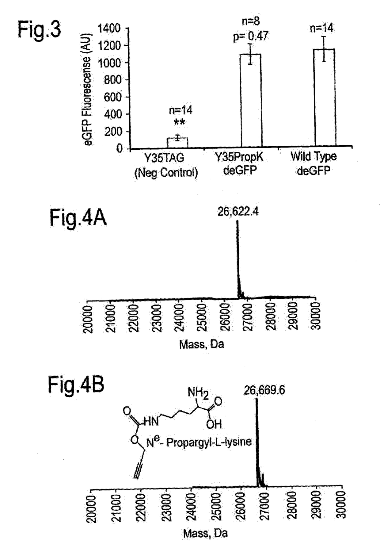 Genetically expanded cell free protein synthesis systems, methods and kits