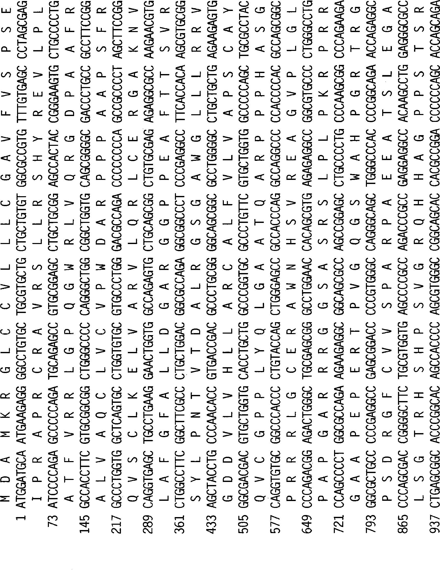 Telomerase reverse transcriptase fusion protein, nucleotides encoding it, and uses thereof