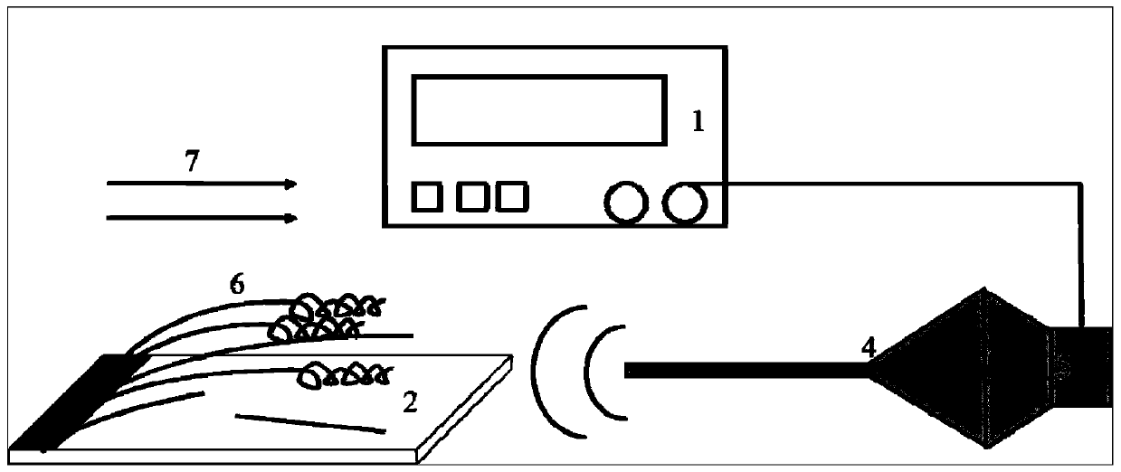 A kind of carbon nanotube coil and its preparation method