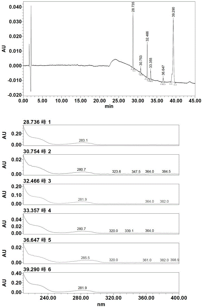 A kind of classification preparation method of tertiary amine base and quaternary ammonium base in Corydalis extract