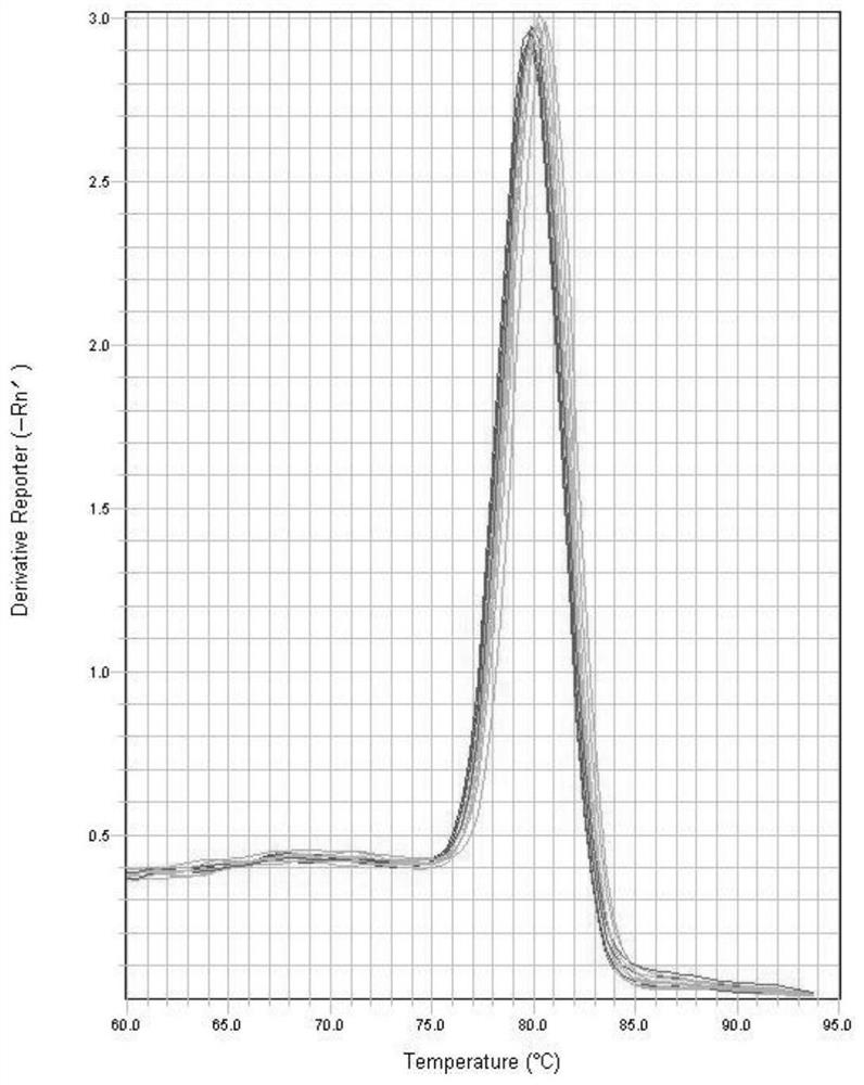 Primer group, kit and method for detecting copy number of FRT sites in Flp-In host cell line