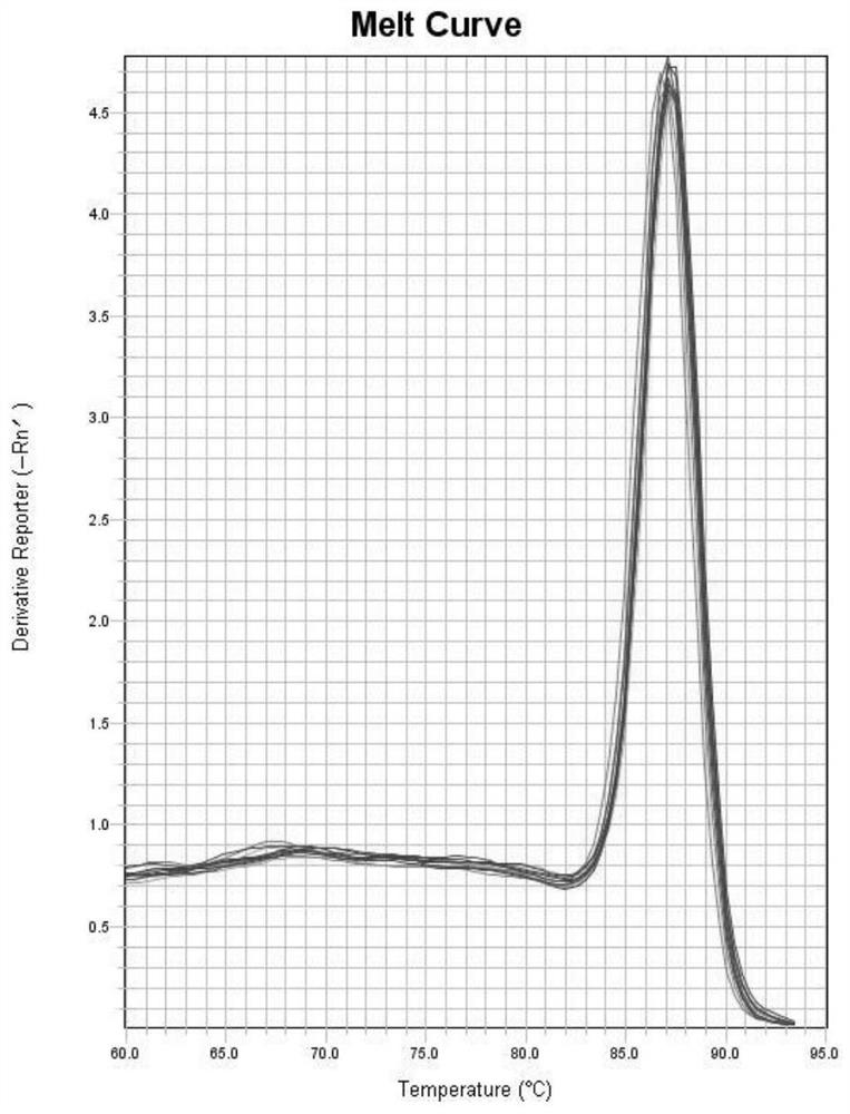 Primer group, kit and method for detecting copy number of FRT sites in Flp-In host cell line