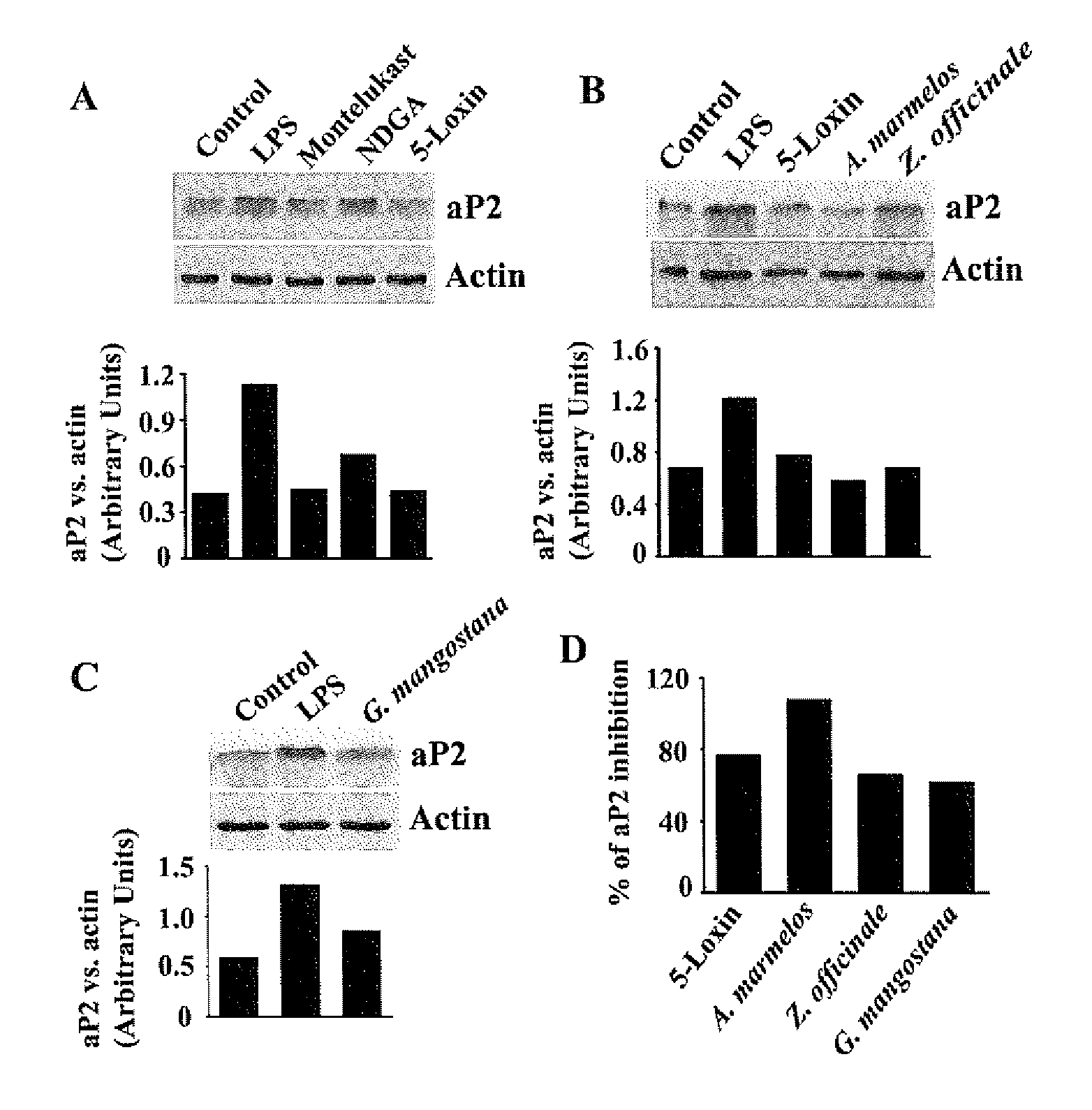 Anti-adipocyte fatty acid-binding protein (AP2), anti-flap and anti-CySLT1 receptor herbal compositions