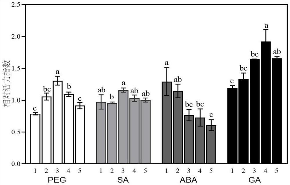 Seed initiator and method for improving sweet sorghum seed vigor and germination stage drought resistance