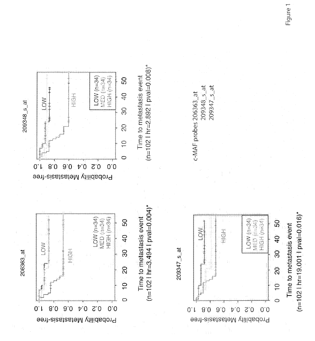 Method for the diagnosis, prognosis and treatment of lung cancer metastasis