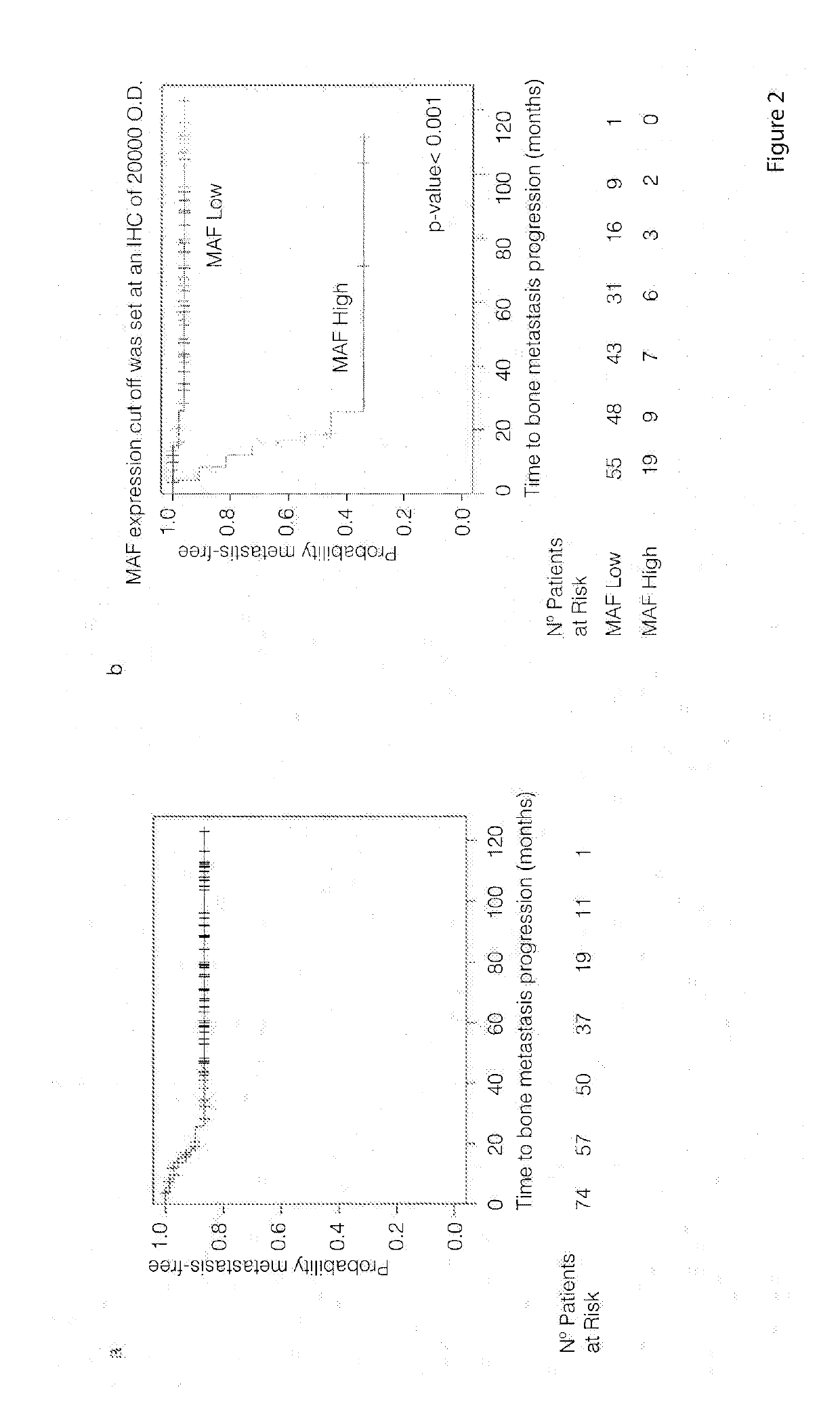 Method for the diagnosis, prognosis and treatment of lung cancer metastasis