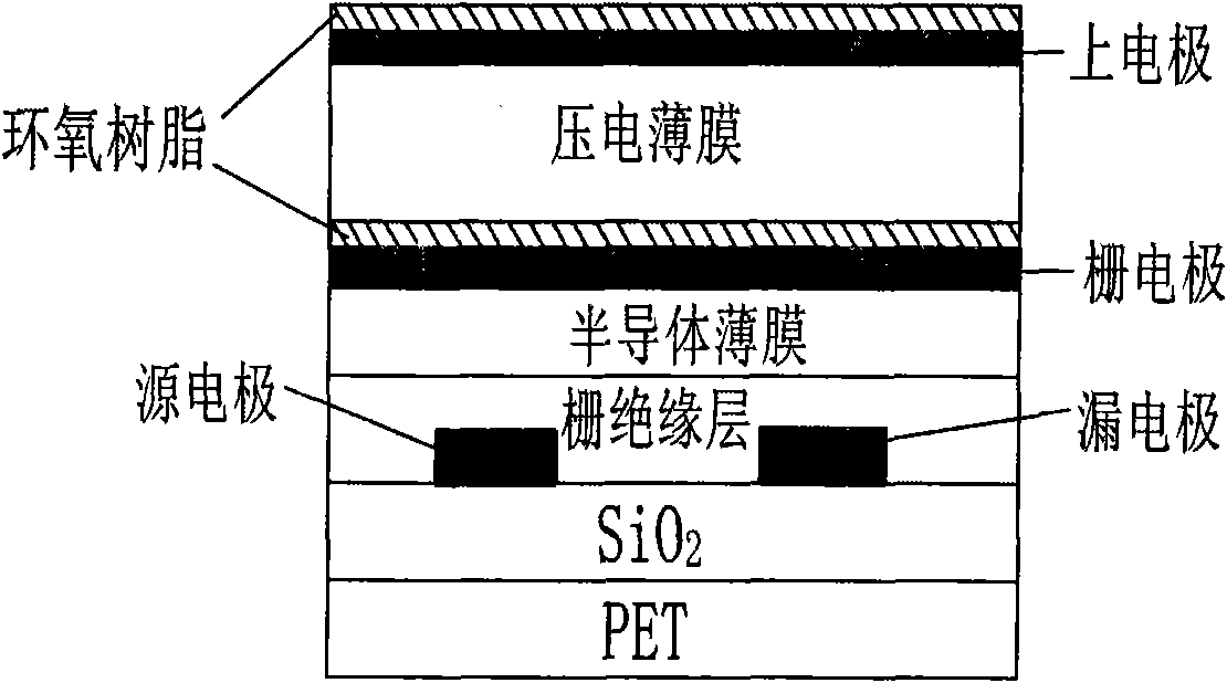 Flexible integrated ultrasonic transducer and preparation method thereof