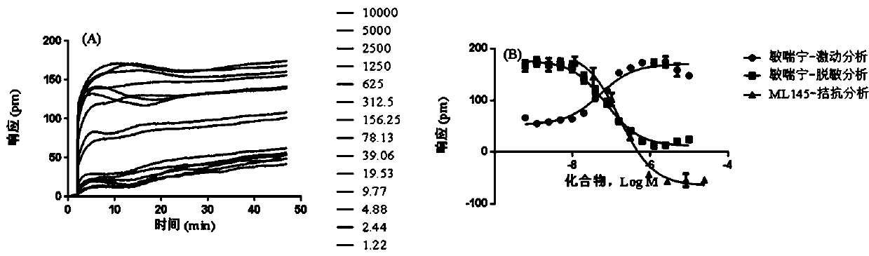 GPR35 receptor novel agonist and application thereof