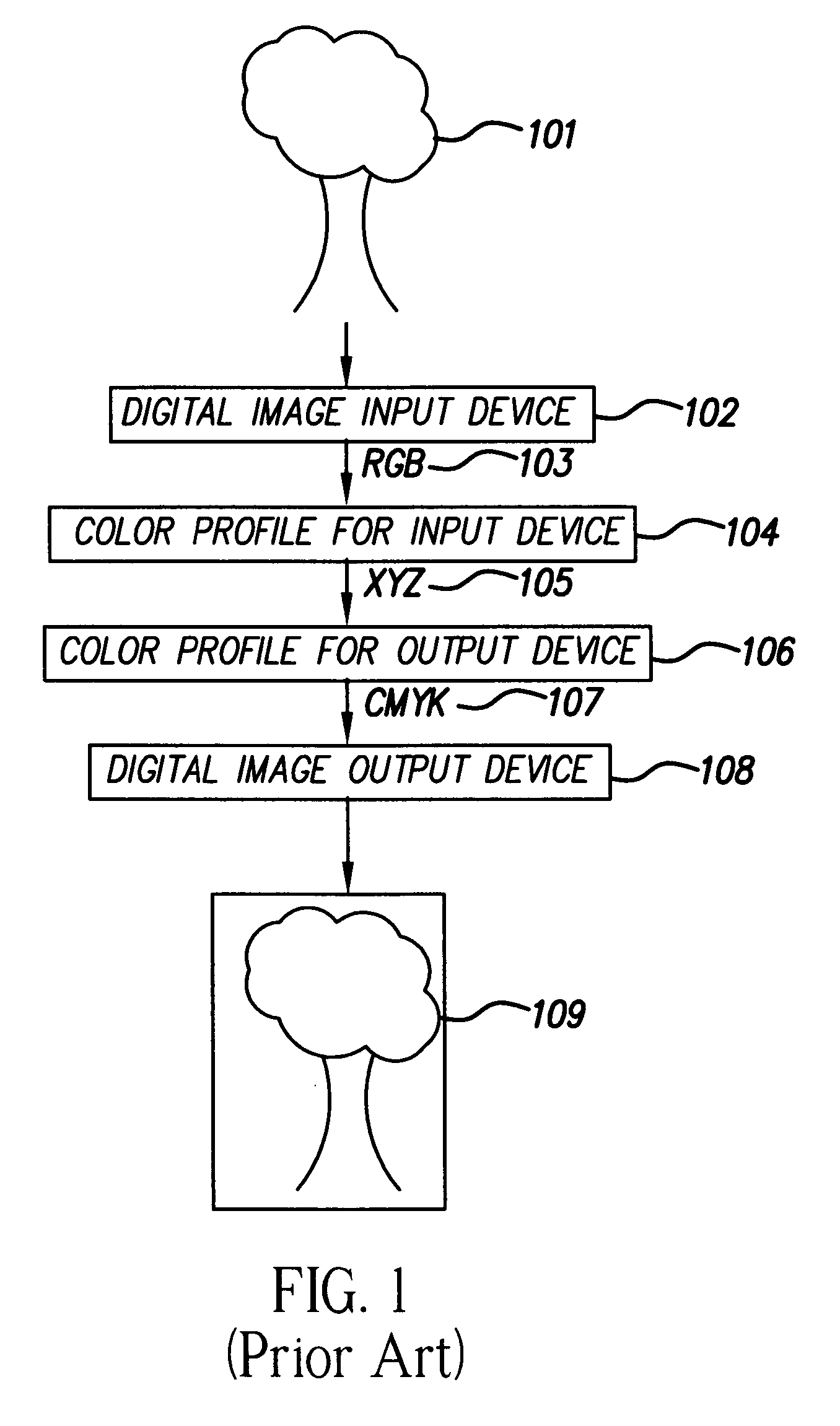 System and method for profiling digital-image input devices