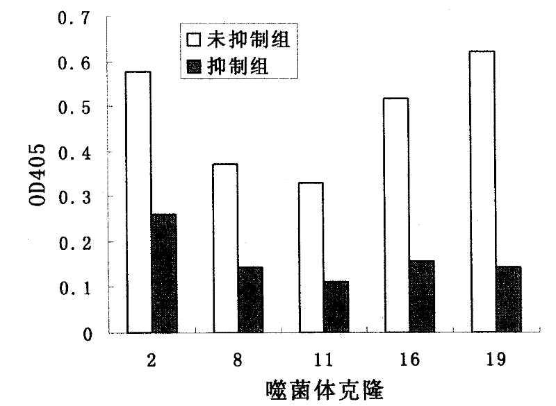 A kind of molecular mimetic peptide of O-type foot-and-mouth disease virus epitope and its application