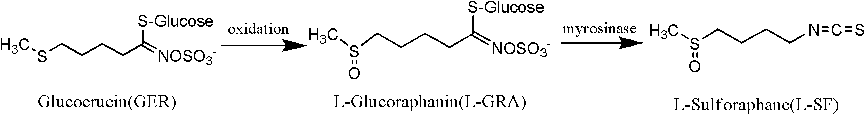 Method for preparing sulforaphane by using glucoerucin