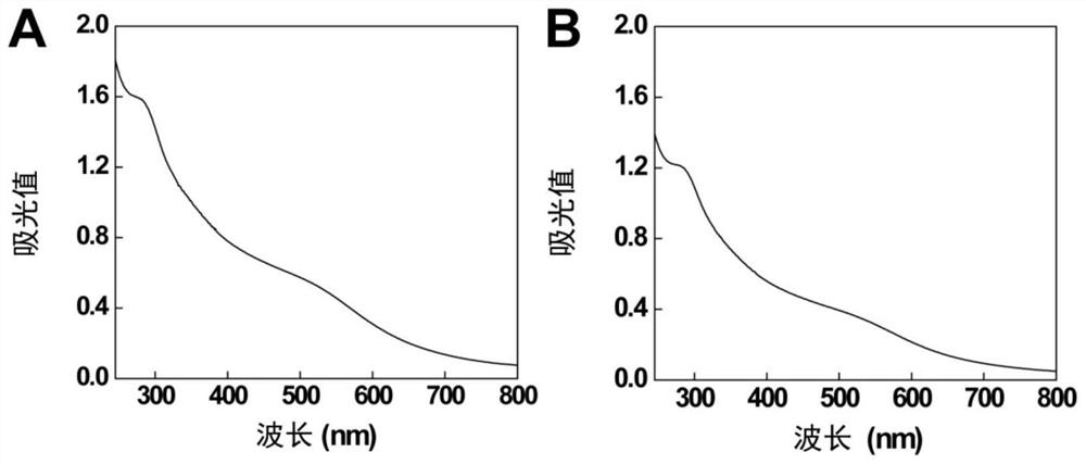 Dendritic cell-targeted hybrid dendrimeter/YTHDF1 siRNA compound as well as preparation and application thereof