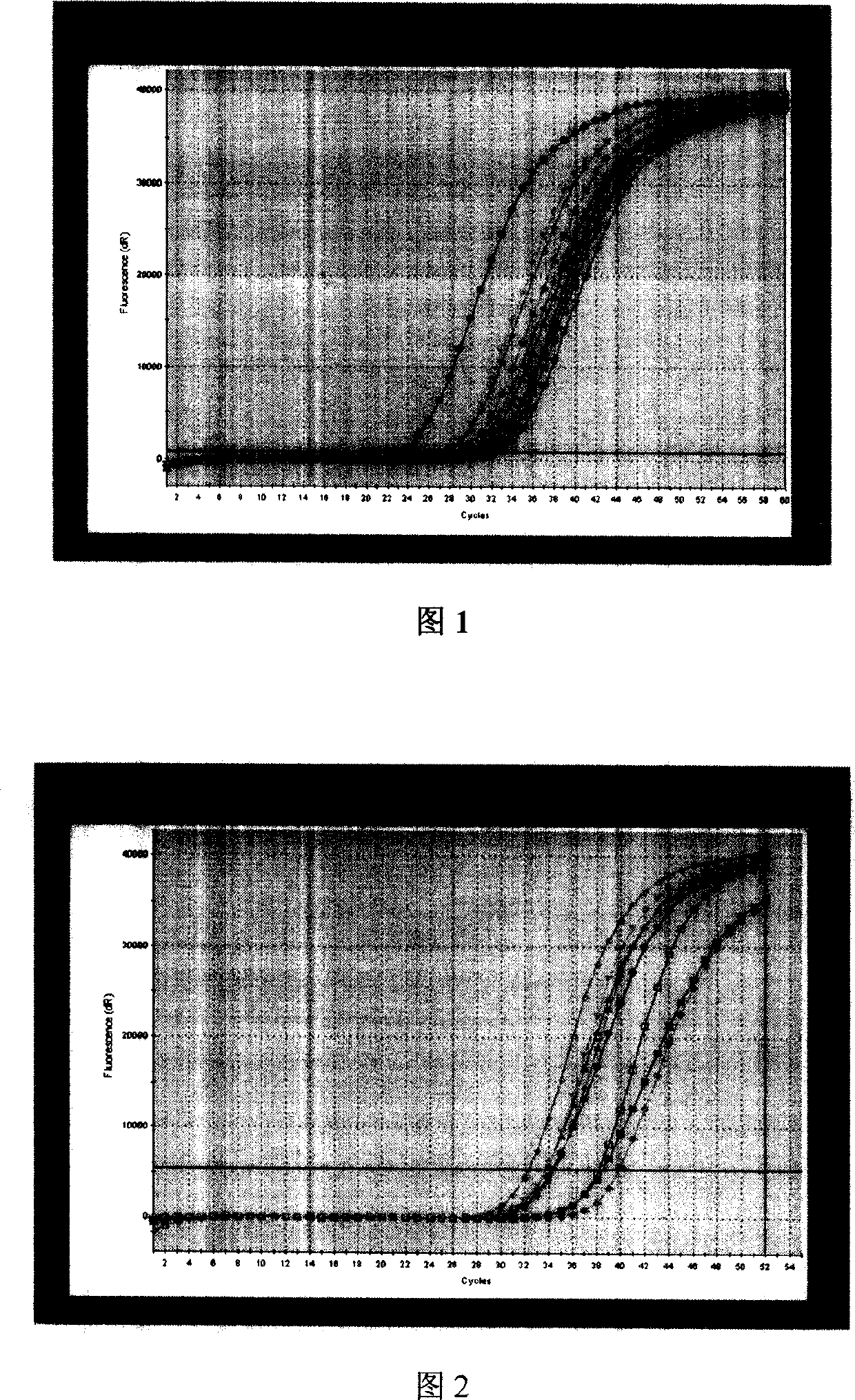 Process for extracting free mRNA from pleural fluid and ascitic fluid