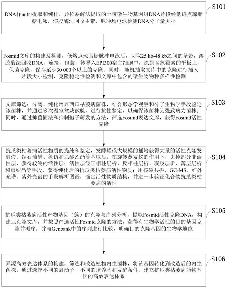A method for cloning and sequence analysis of an active product gene resistant to melon wilt