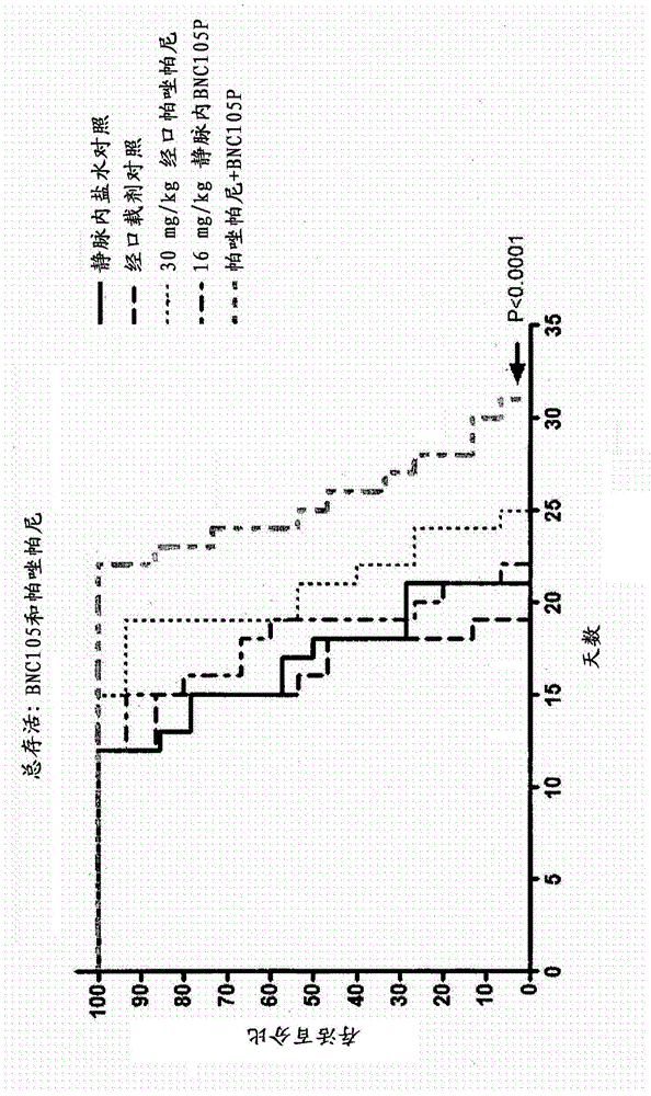 Combination therapy involving a vascular disrupting agent and an agent which targets hypoxia