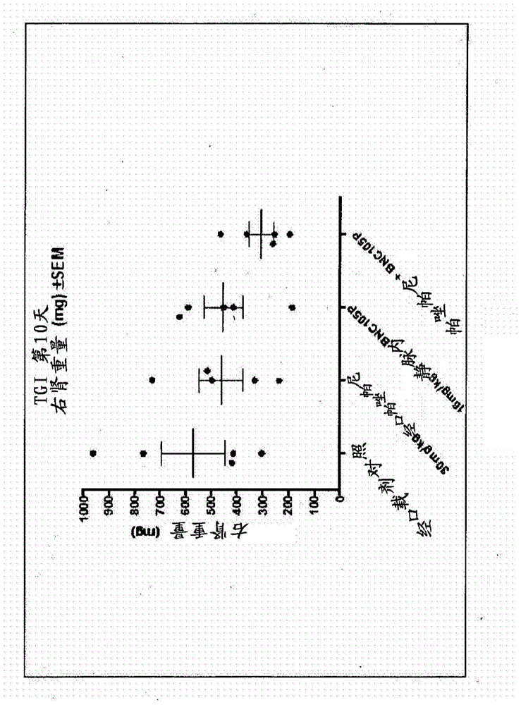 Combination therapy involving a vascular disrupting agent and an agent which targets hypoxia